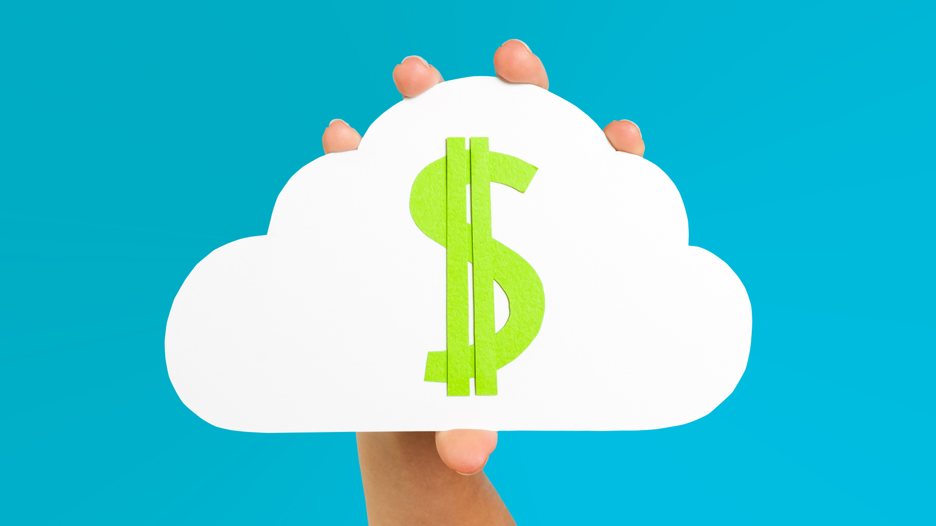 FinOps Core Principles Explored in Search of Effective Cloud Cost Management