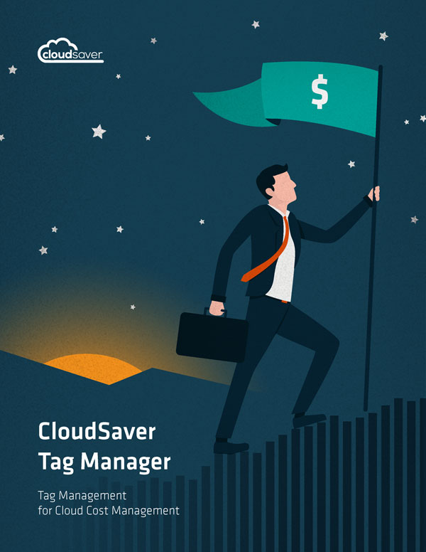 Tag Manager for Cloud Cost Management & FinOps