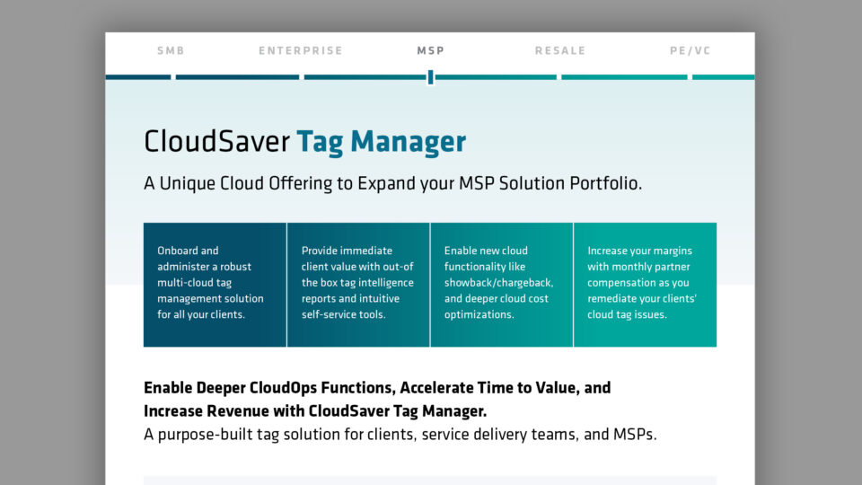 CloudSaver Tag Manager for MSP Overview